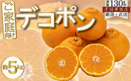 ご家庭向け！濃厚甘味のぷりっぷり「デコポン」　約5kg