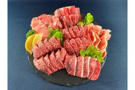 佐賀県産厳選6種焼肉盛り合わせ　1000ｇ（2～3人前） 180-J1634