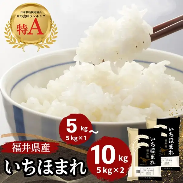 福井県産いちほまれ 米 10kg [D-187001] / いちほまれ