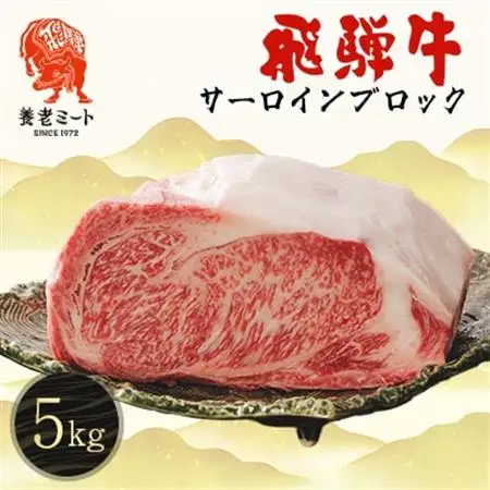 飛騨牛 サーロインブロック 5kg【配送不可地域：離島】【1622929】