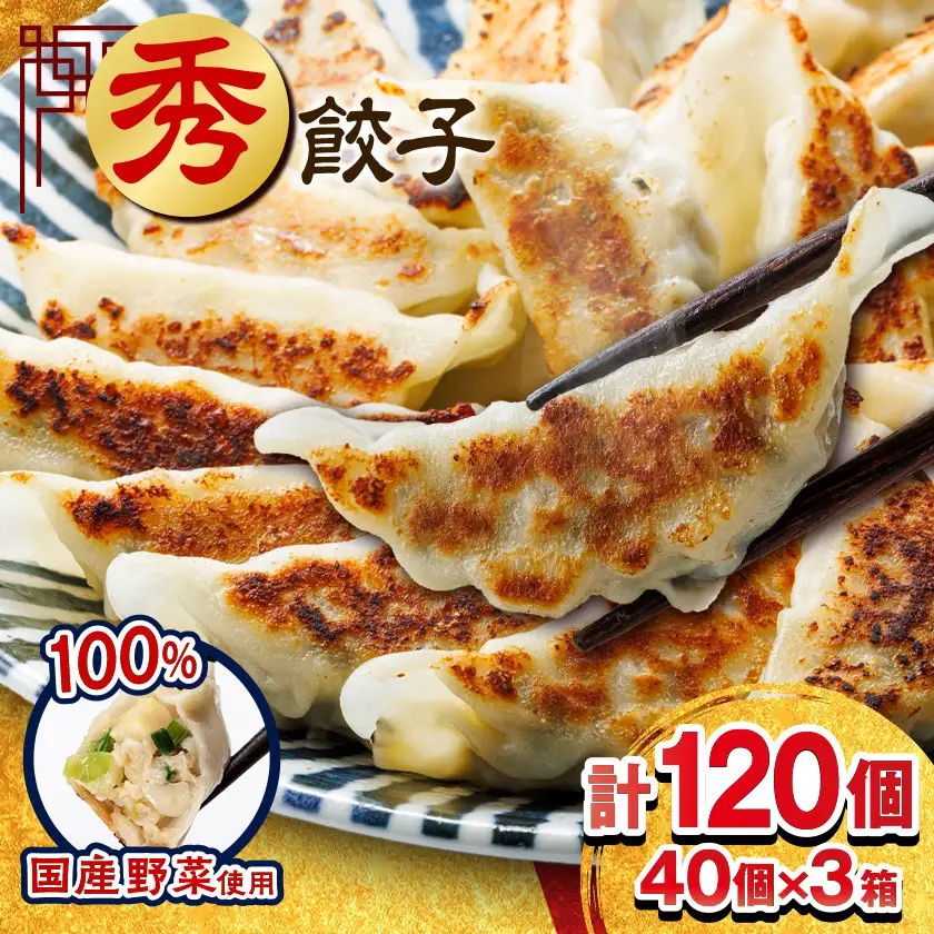 秀餃子 120個(40×3箱)2.4kg 国産野菜と肉の新鮮さにこだわった本気のぎょうざ 国産 冷凍_餃子 冷凍 大容量_【配送不可地域：離島】【1622598】