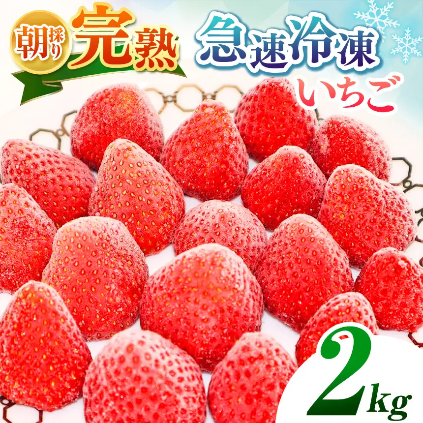 完熟・急速 冷凍いちご 2kg | 渡邉いちご園