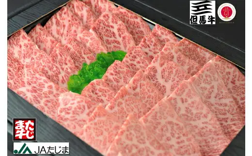 但馬牛 焼肉用 霜降り部位 500g / 牛肉 焼肉 霜降り 赤身 但馬牛 黒毛和牛 和牛 国産牛 焼き肉 牛 肉 やきにく 【JAたじま 肉の店本店】