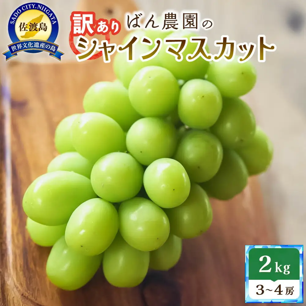 【訳あり】シャインマスカット2kg 3～4房 佐渡島産