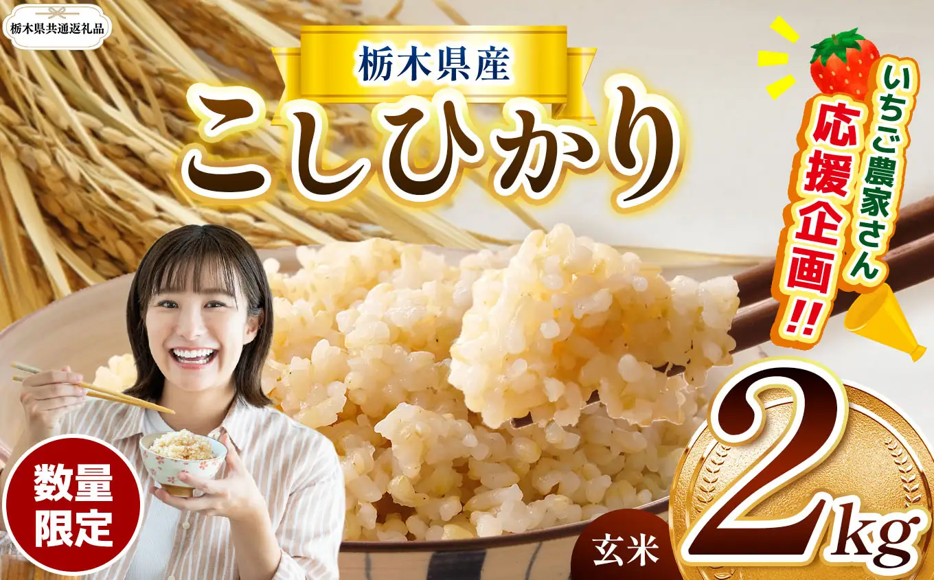 【先行予約】【令和8年度産】 栃木県産コシヒカリ 2kg | 【栃木県共通返礼品】こしひかり 数量限定 玄米 米 ごはん 玄米密閉パック ふるさと納税 那珂川町 栃木県