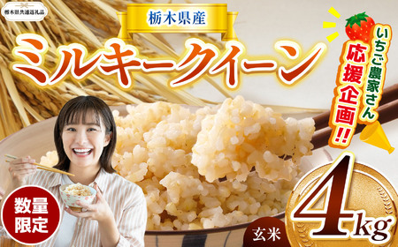 先行予約 令和8年度産 栃木県産 ミルキークイーン 4kg |【栃木県共通返礼品】 数量限定 ミルキークイーン 玄米 米 ごはん 玄米密閉パック ふるさと納税 那珂川町 栃木県