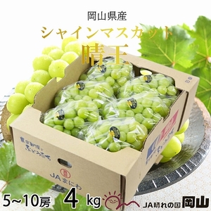 【2026年8月下旬より発送】岡山県産 シャインマスカット 晴王 4kg(5房～10房)  岡山県産 シャインマスカット