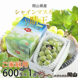 【2026年8月下旬より発送】ご家庭用 岡山県産 シャインマスカット 晴王 600g×1房  岡山県産 シャインマスカット