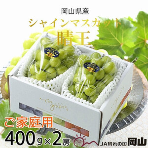 【2026年8月下旬より発送】ご家庭用 岡山県産 シャインマスカット 晴王 400g×2房  岡山県産 シャインマスカット