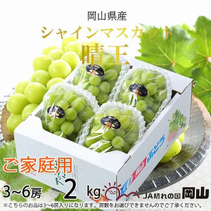 【2026年8月下旬より発送】ご家庭用 岡山県産 シャインマスカット 晴王 2kg(3～6房)  岡山県産 シャインマスカット