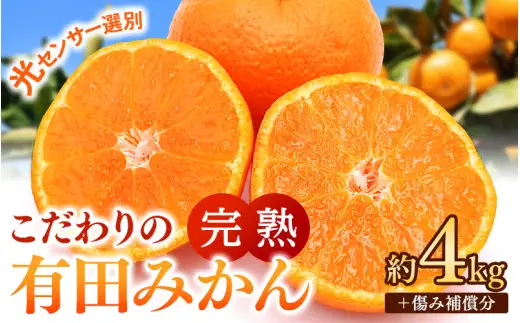 ご家庭用 こだわりの 有田 みかん 4kg＋150g(傷み補償分) 【12月発送予定】 / 温州みかん 光センサー選別 柑橘 甘い 果物 和歌山 ※北海道・沖縄・離島配送不可【nuk004-c-4-decH】 