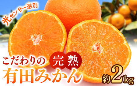 こだわりの 有田 みかん 2kg【ご家庭用】※北海道・沖縄・離島配送不可 ※2026年12月発送予定【nuk004-c-2-decH】 