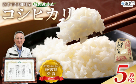 ＜令和7年産 西予市宇和町産 特別栽培米 コシヒカリ 約5kg＞ お米 コメ こめ 白米 精米 ご飯 穀物 こしひかり 西予米NO.1コンテスト 優秀賞 特産品 愛媛県産 西予市産 時谷ファーム 愛媛県 西予市 【常温】UTF0003