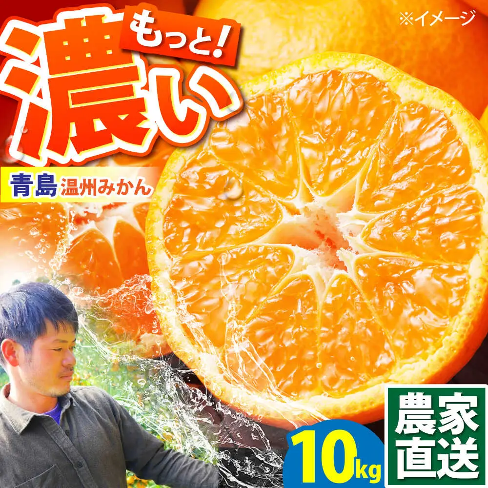 【2027年1月-発送】青島 温州みかん 10kg [SCQ003] みかん