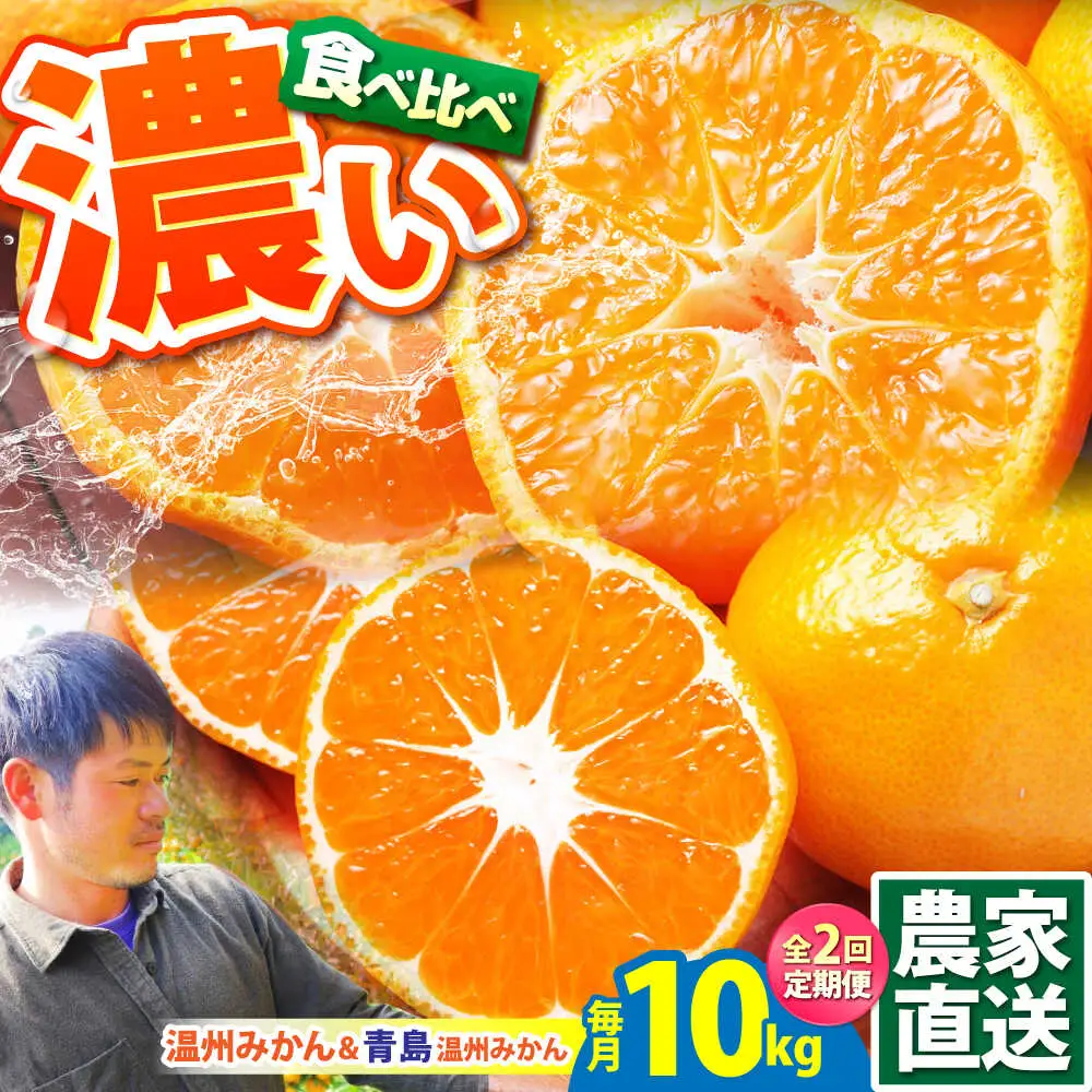 【2026年10月下旬-発送】【2回定期便】温州みかん 食べ比べ 10kg×2回 [SCQ004] 柑橘みかん オレンジみかん