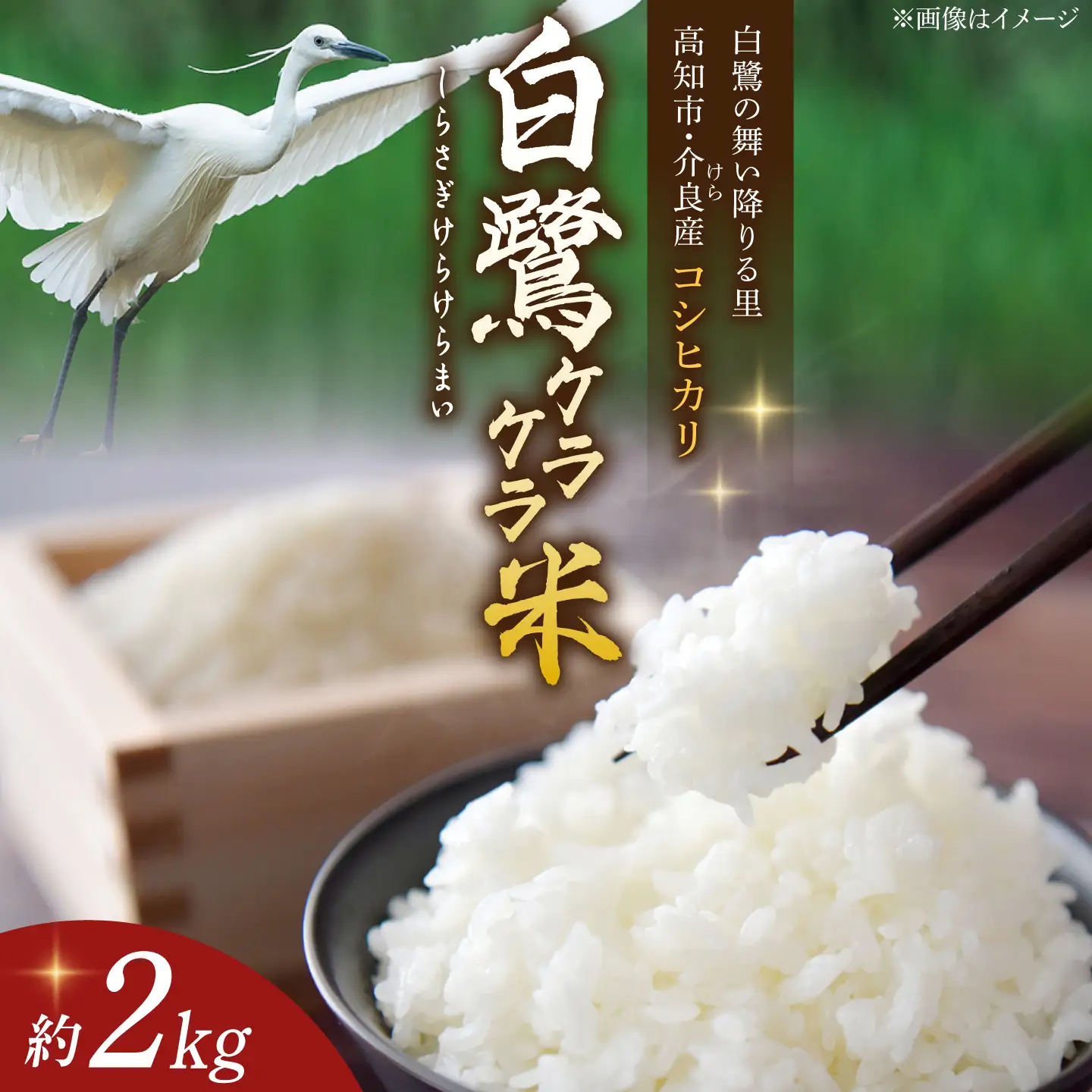 農薬節減！ R8年度産 特別栽培米 白鷺ケラケラ米 コシヒカリ 約10kg 〈2026年9月中旬~発送〉 / 高知 米 お米 精米　【津ノ宮農園】[ATBV020]