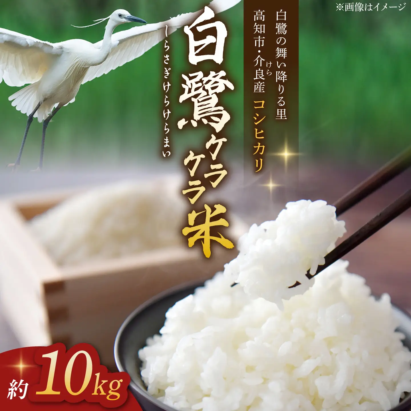農薬節減！ R8年度産 特別栽培米 白鷺ケラケラ米 コシヒカリ 約10kg 〈2026年9月中旬~発送〉 / 高知 米 お米 精米　【津ノ宮農園】[ATBV020]