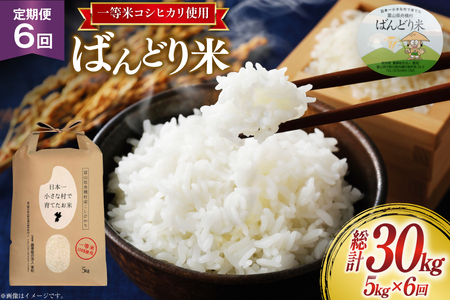 【6ヶ月定期便】【一等米100％】米 令和7年産 ばんどり米（コシヒカリ）精米 5kg 計30kg