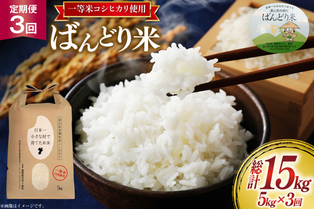 【3ヶ月定期便】【一等米100％】米 令和7年産 ばんどり米（コシヒカリ）精米 5kg 計15kg