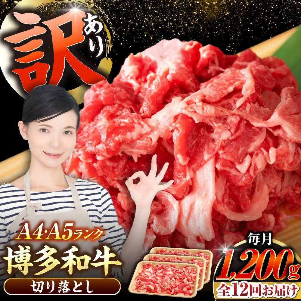 【全12回定期便】【訳あり】【A4-A5ランク】博多和牛 切り落とし 1.2kg（400g×３個） [VDZ123] 国産 カレー 肉じゃが