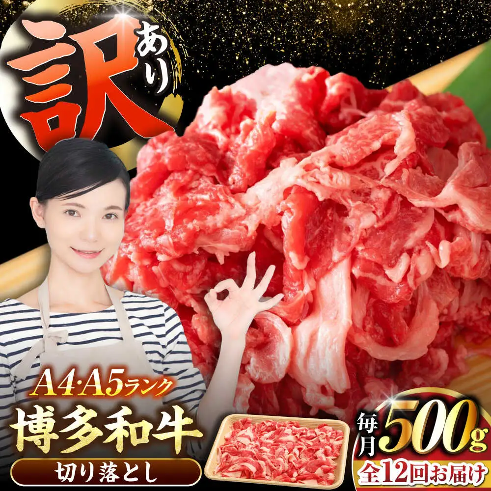 【全12回定期便】【訳あり】【A4-A5ランク】博多和牛 切り落とし 500g[VDZ047]国産 黒毛和牛 牛丼 肉じゃが