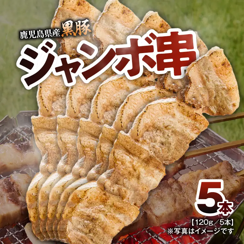 鹿児島県産 黒豚 ジャンボ 串 5本 （120g/本） KN054-015-01 肉 豚肉 惣菜 総菜