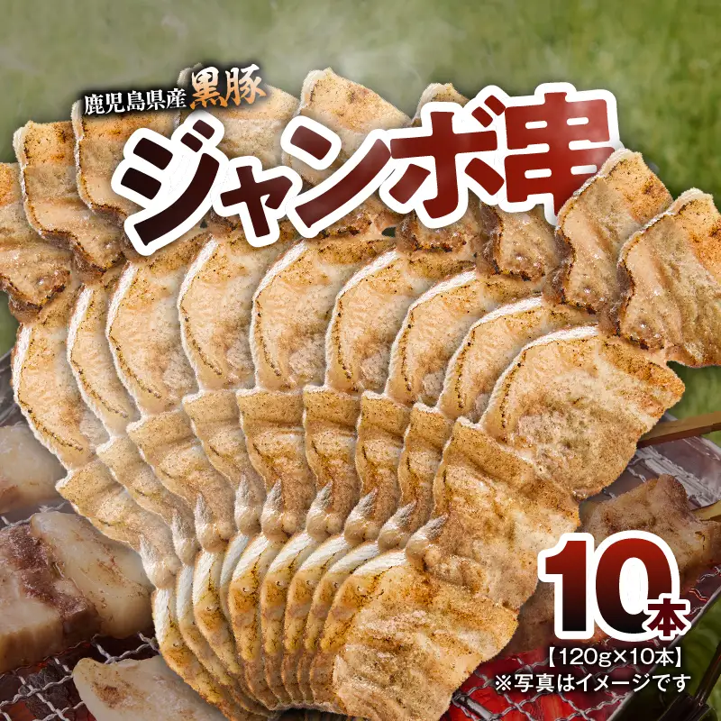 鹿児島県産 黒豚 ジャンボ 串 10 本（120g/本） KN054-015-02 肉 豚肉 惣菜 総菜