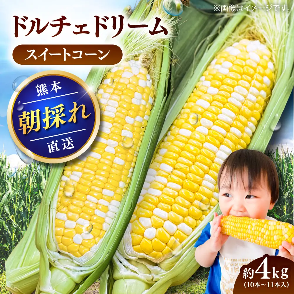 【先行予約】【2027年5月下旬より順次発送】スイートコーン ドルチェドリーム 約4kgBHCJ002 とうもろこし とうもろこし