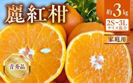 【2027年先行受付】麗紅柑 (れいこう) 青秀品 (家庭用) 2S～3Lサイズ 3kg 和歌山有田産_BF6063
