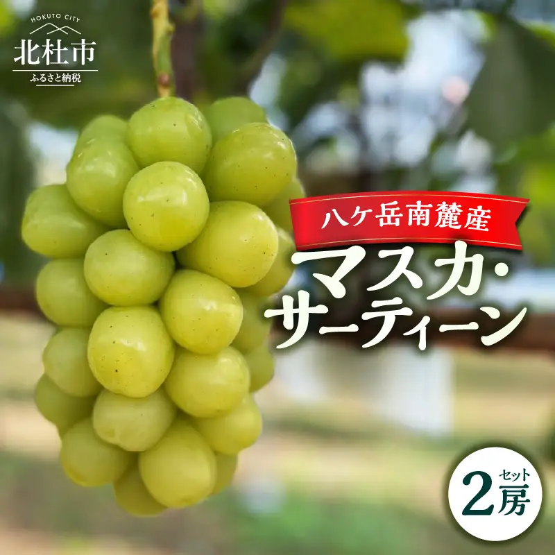 【2026年先行予約】八ケ岳南麓産「マスカ・サーティーン」 [h262]