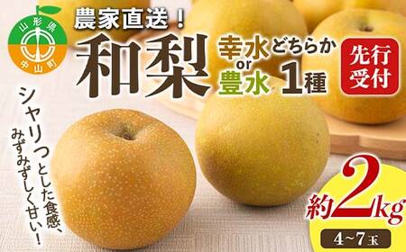 【2026年先行予約】農家直送「和梨」約2kg 中山町 渡辺ファーム 山形県産 梨 なし ナシ 果物 くだもの フルーツ F4A-0954