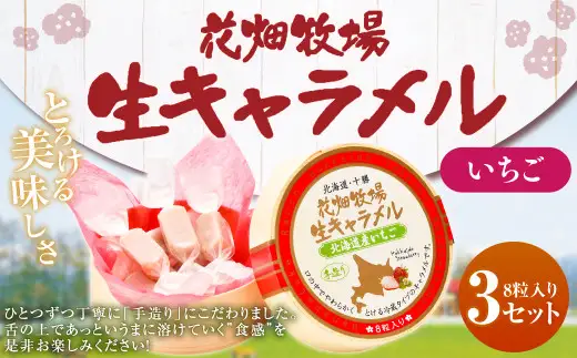 花畑牧場 生キャラメル 北海道産いちご 8粒入り×3セット 沖縄配送可 キャラメル お菓子 おやつ いちご 苺 ストロベリー 冷蔵 [002-0084]