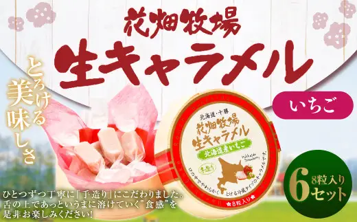 花畑牧場 生キャラメル 北海道産いちご 8粒入り×6セット 沖縄配送可 キャラメル お菓子 おやつ いちご 苺 ストロベリー 冷蔵 [002-0085]