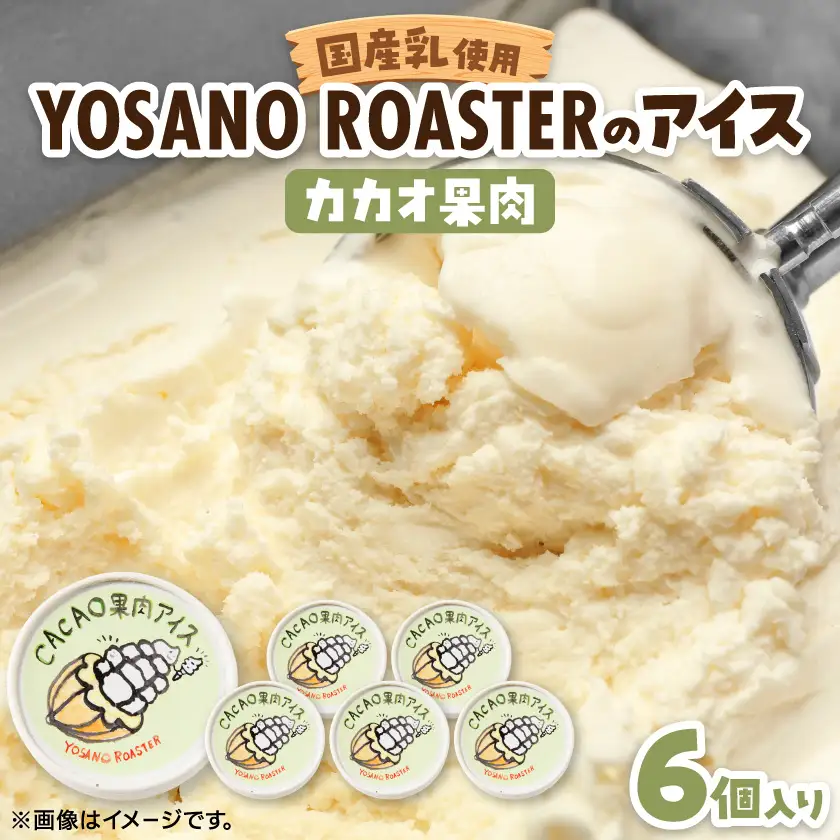 カカオ果肉入りアイス　6個入　バニラアイスと甘酸っぱい果肉が相性バツグンのアイスクリーム【配送不可地域：離島】【1623418】