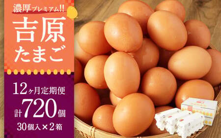 【12ヶ月定期便】濃厚プレミアム！！吉原たまご2箱 30個入り×2箱 計60個（54個＋割れ保証6個） 卵 たまご