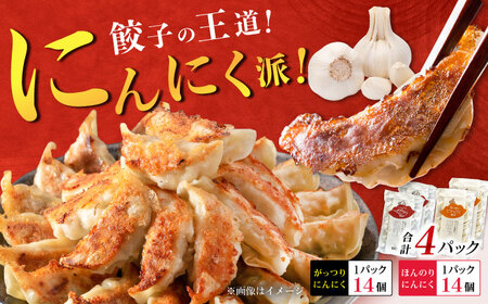 【王道！にんにく派×2パック】餃子2種セット！餃子 ぎょうざ[BDAS008-3]