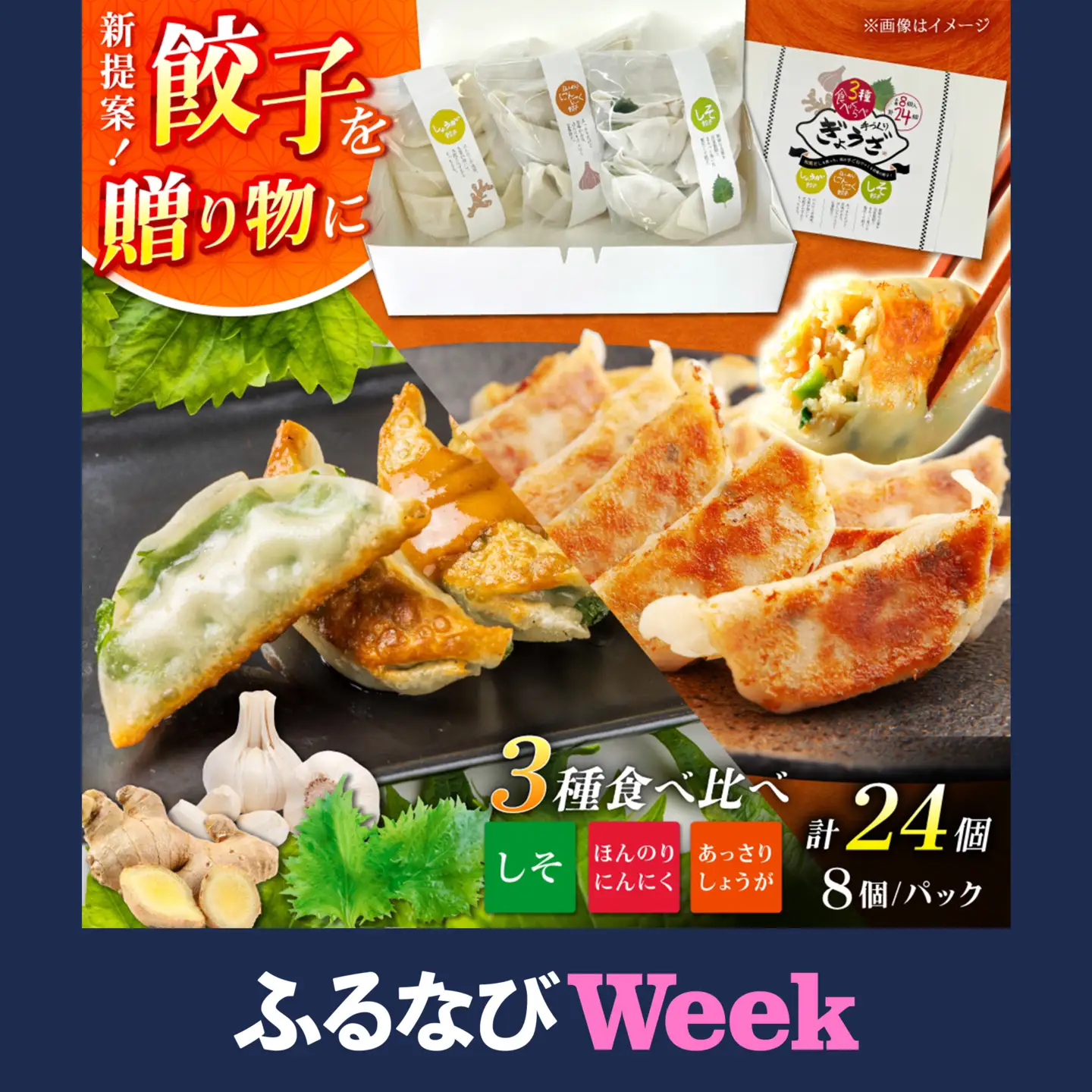 【ふるなびWEEK対象】餃子屋ヒロの3種食べ比べセット 餃子 ぎょうざ[BDAS002] 