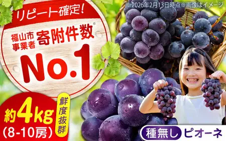 【期間限定/8月下旬から9月上旬頃発送】ピオーネ 約2kg×2 沼隈ぶどう [BAEV006] ぶどう