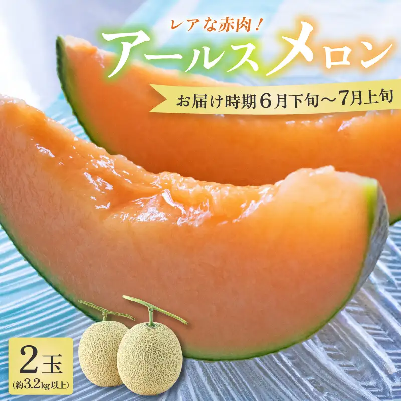 【先行予約】アールスメロン 2玉（約3.2kg以上）赤肉品種 高級メロン！ ／ マスクメロン 大玉 果物 フルーツ 夏 ギフト 農家直送 ※2027年6月下旬以降順次発送 [aw065-a014]