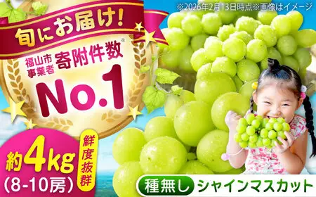 福山市産シャインマスカット 約4kg【2026年発送】 [BAEV011] シャインマスカット