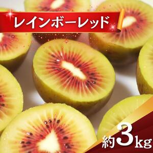 【2026年度】  キウイ レインボーレッド 3kg キウイフルーツ キウイ 国産  ビタミンC 果物 フルーツ 数量限定 期間  限定  フルーツ 果物 食物繊維 朝ごはん デザート ヘルシー  酸味 甘い くだもの 朝食 スムージー ヨーグルト 栄養補給 レッド レッドキウイフルーツ 期間限定 数量限定 限定 先行予約
