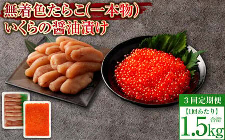 【3回定期便】無着色たらこ（一本物）・いくらの醤油漬け 1回あたり合計1.5kg たらこ タラコ 鱈子 無着色 いくら イクラ 醤油漬け セット 冷凍 北海道 小樽市