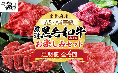 【4回定期便】牛肉 黒毛和牛赤身肉 お楽しみセット【計2.35kg】 牛肉