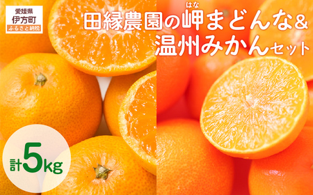 【先行予約】【数量限定】田縁農園の岬（はな）まどんな＆温州みかんセット （2026年11月25日より順次発送） IKTA005