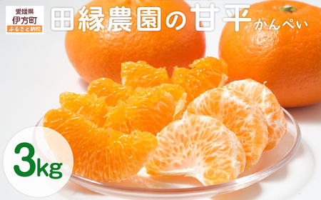【先行予約】【数量限定】田縁農園の甘平（かんぺい）3kg ※離島への配送不可 （2027年1月25日より順次発送） IKTA016