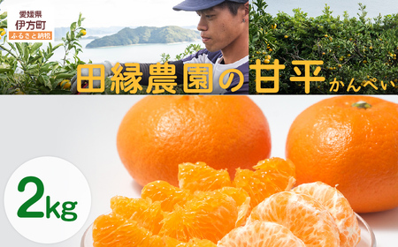 【先行予約】【数量限定】田縁農園の甘平（かんぺい）2kg ※離島への配送不可 （2027年1月25日より順次発送） IKTA028