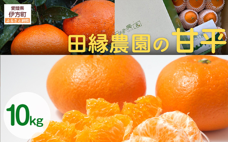 【先行予約】【家庭用】甘平 10kg ※離島への配送不可 （2027年1月25日より順次発送） IKTA032