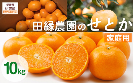 【先行予約】【家庭用】せとか 10kg ※離島への配送不可 （2027年3月5日より順次発送） IKTA038