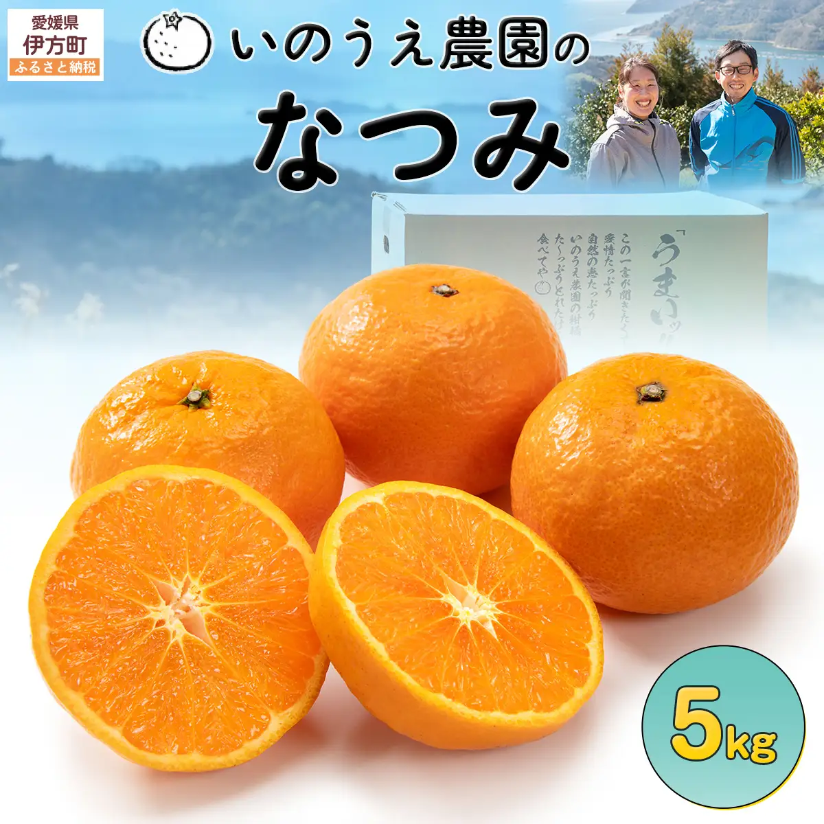 【先行予約】いのうえ農園のなつみ 5kg ※離島への配送不可 (※2027年5月上旬頃より順次発送) IKTAI002