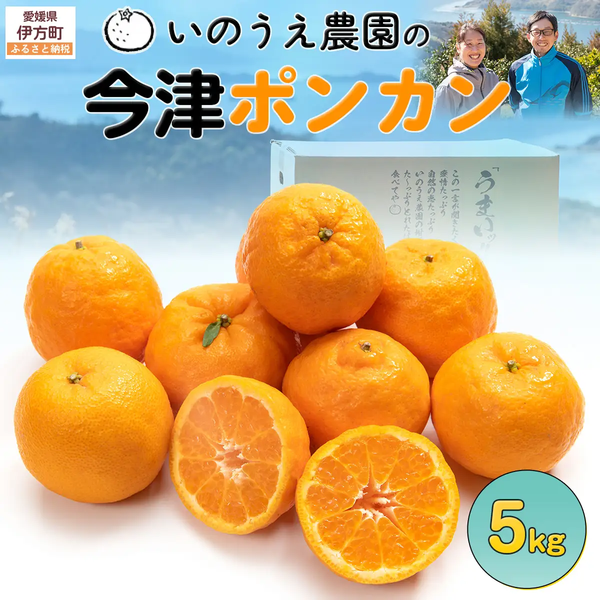 【先行予約】いのうえ農園の今津ポンカン 5kg ※離島への配送不可（2027年2月上旬より順次発送）IKTAI004